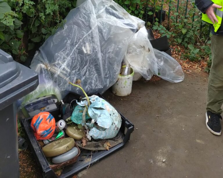 August Volunteer Action Morning