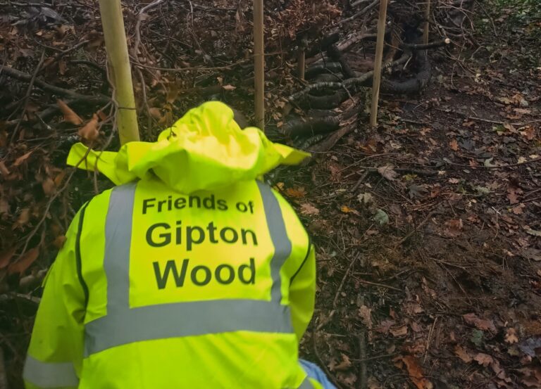 November Volunteer Action Morning