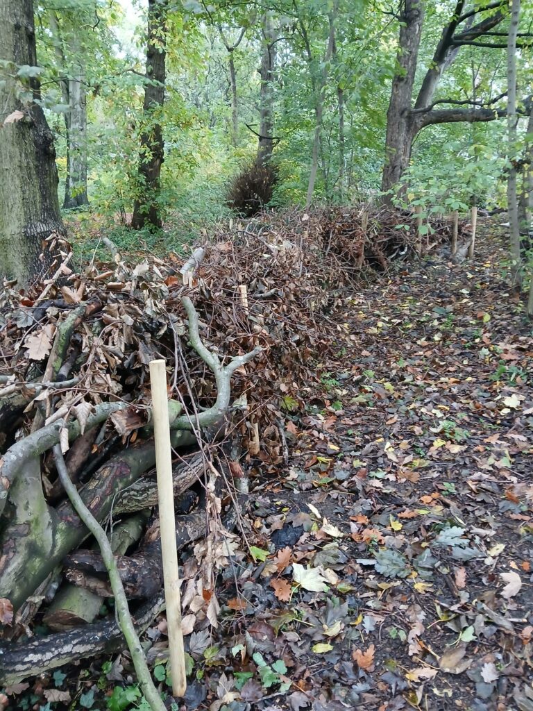 Dead-hedging 6 October 2025