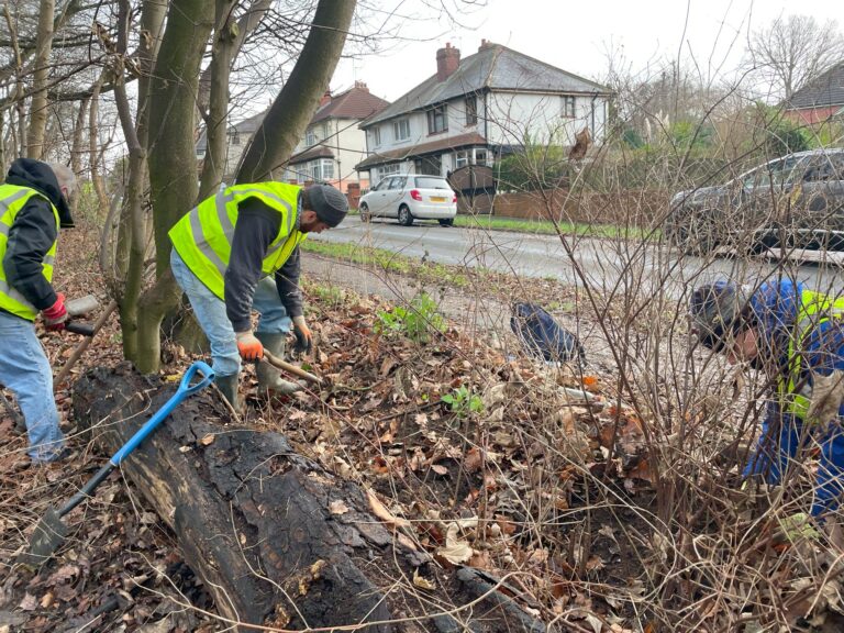 June Volunteer Action Morning