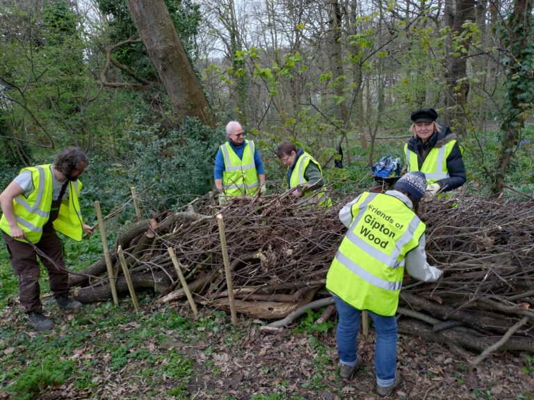 5 people with hi vis vests standing around a 'dead hedge' placing sticks and logs in between posts to create a snake of brash. One person's back is visible and you can read the words 'Friends of Gipton Woods'.